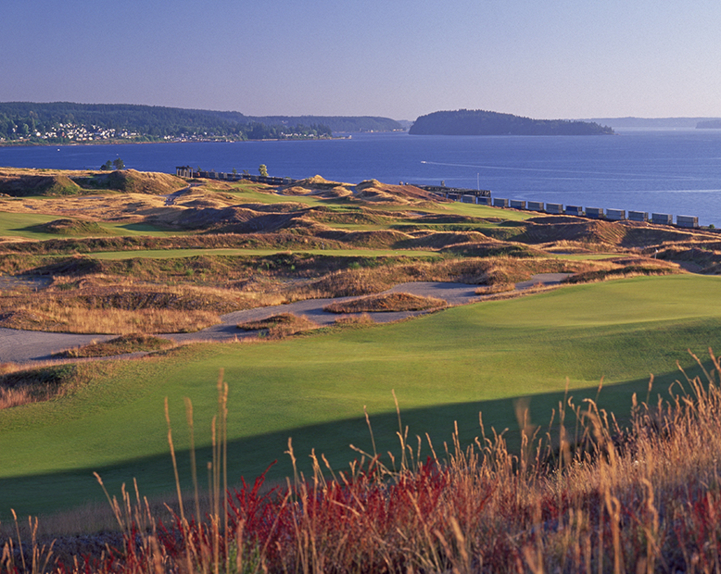 chambers bay golf course #15 and #17