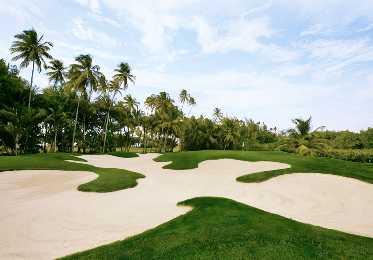 Bahia Beach Resort and Golf Club Hole #15