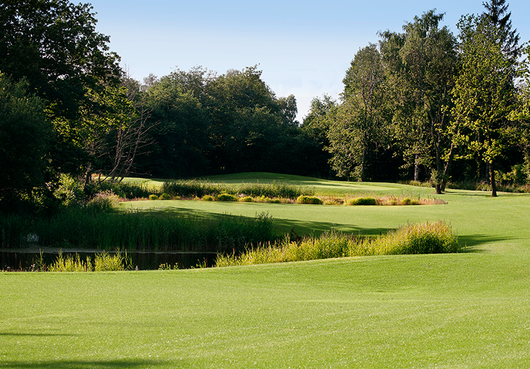 The Scandinavian Golf Club