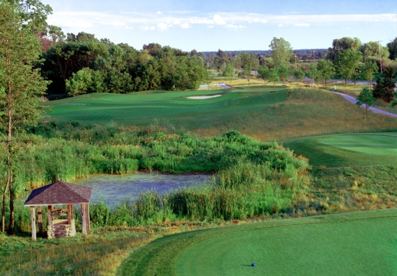 Orchards Golf Club Hole #2
