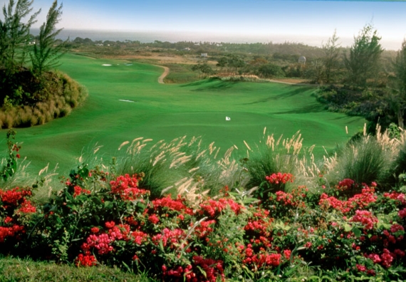 Royal Westmoreland Barbados Golf Course Hole #6 
