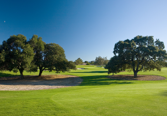Siebel Varsity Golf Training Complex