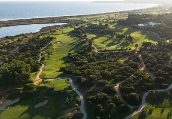 Palmares