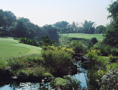 Sta. Elena Golf Club Hole #21