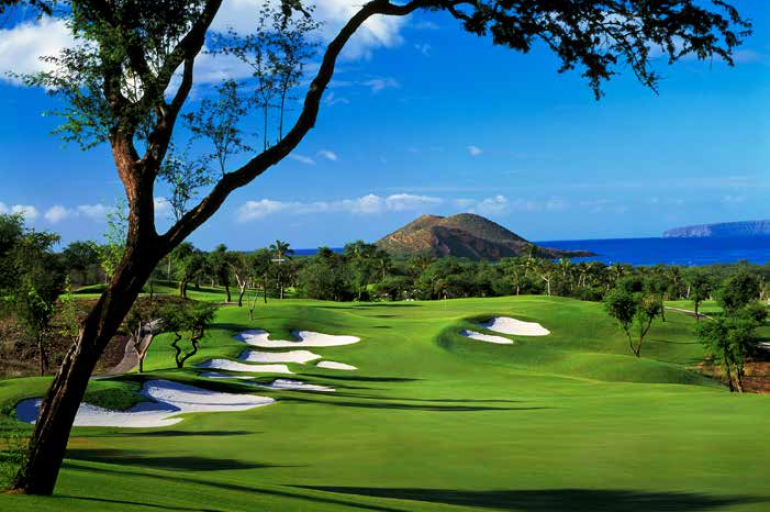 Wailea Golf Club - Gold Course
