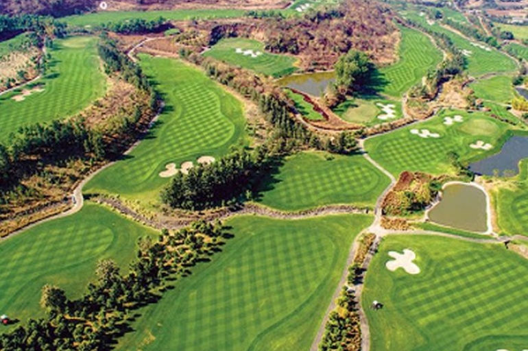 Royal Springs