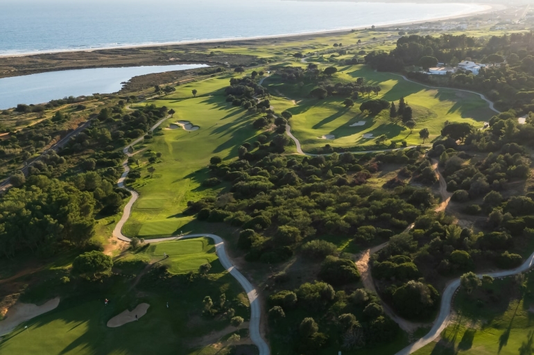 Palmares