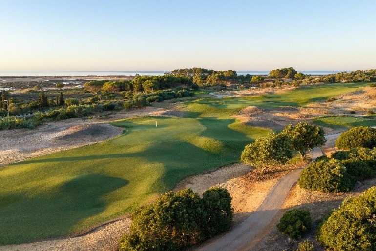 Palmares